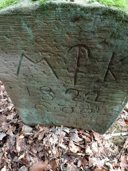 Datei:Grenzstein 200 Kanzel Taubenkopf.jpg