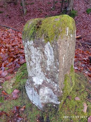 Grenzstein 38 maikammer 149 martin seite.jpg