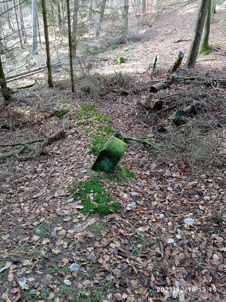 Datei:Grenzstein 29 maikammer umfeld.jpg