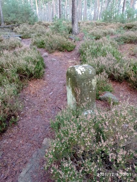 Datei:Grenzstein 16 maikammer sanktmartin.jpg