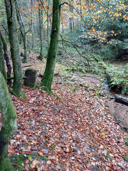 Datei:Grenzstein 107 Hollerbach.jpg